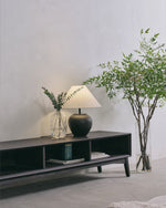 Modern living room with a black TV stand, lamp, and decorative plant.