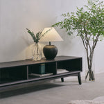 Modern living room with a black TV stand, lamp, and decorative plant.