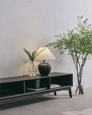 Modern living room with a black TV stand, lamp, and decorative plant.