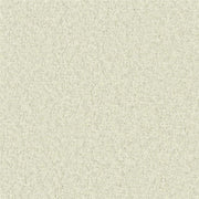 Teddy Boucle White