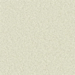 Teddy Boucle White