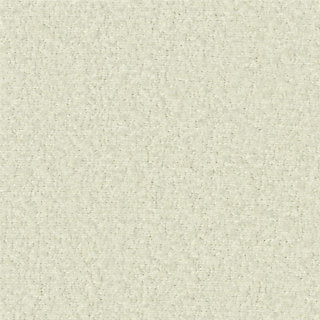Teddy Boucle White